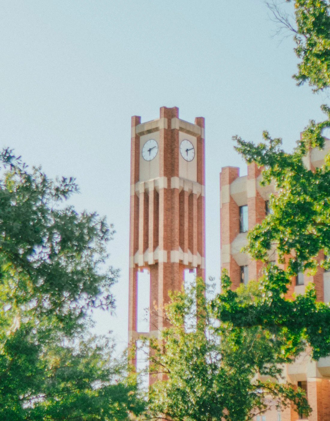 A clock tower behind trees in daylight